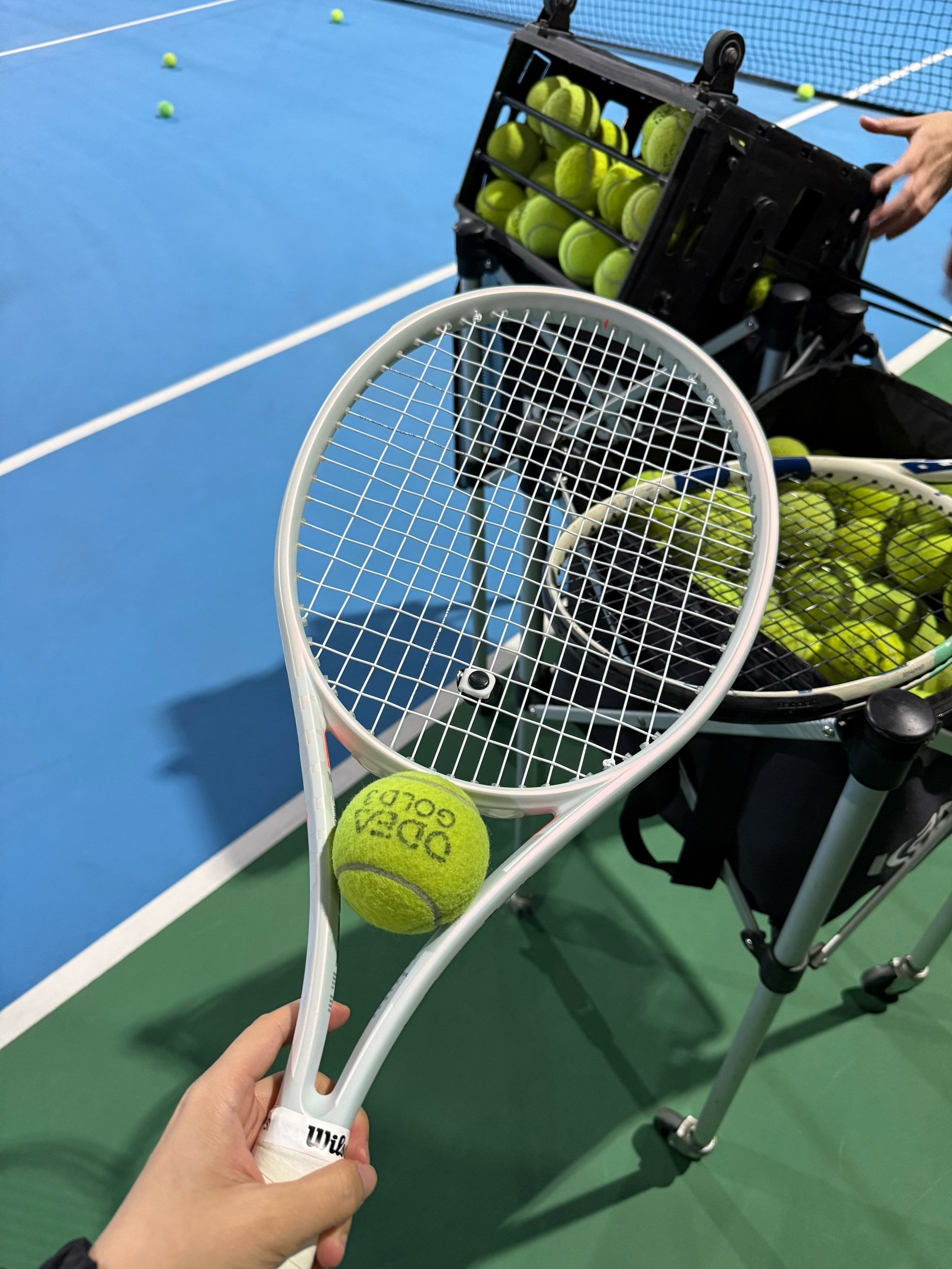 约基奇和他 约基奇和他